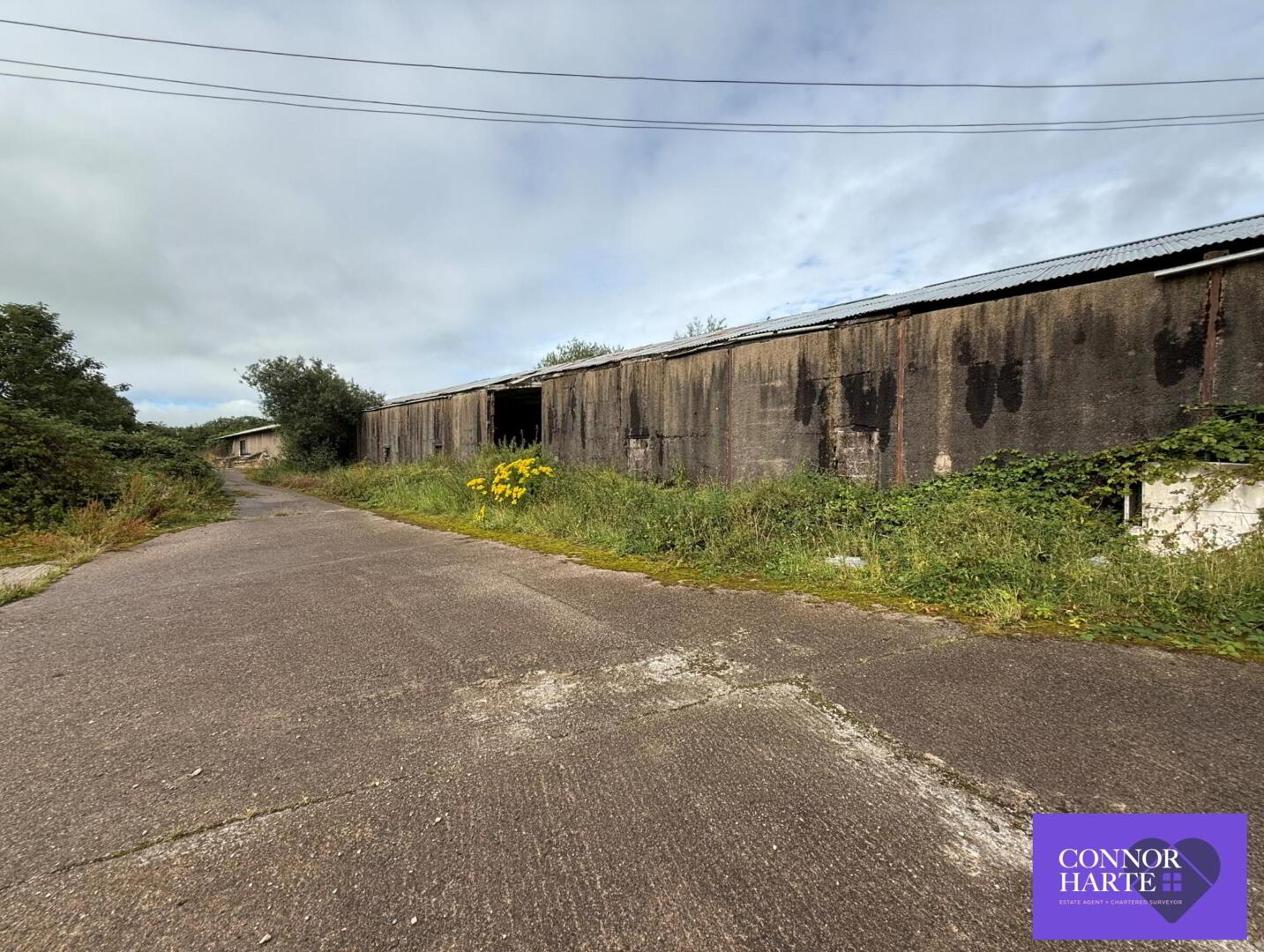 Circa 11.4 Acres At Drum Road 10 of 12