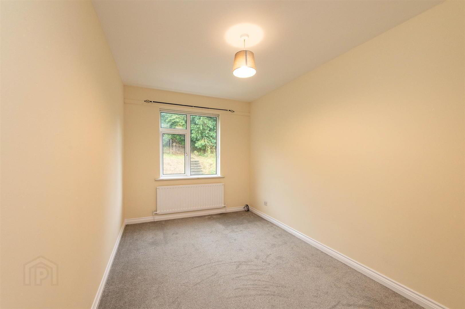 133 Saul Street 14 of 23