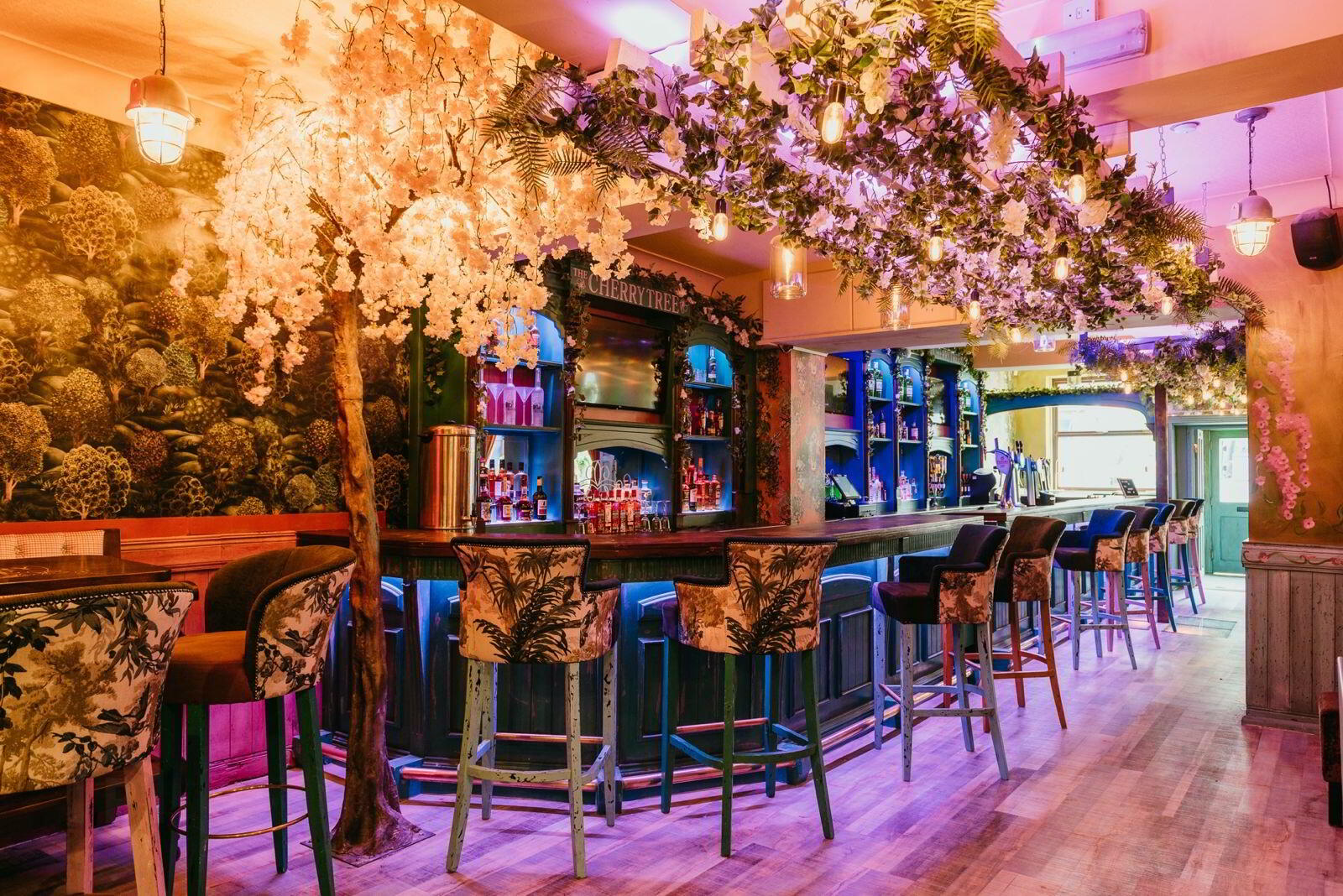 The Cherry Tree Bar, 21 Molesworth St 2 of 9