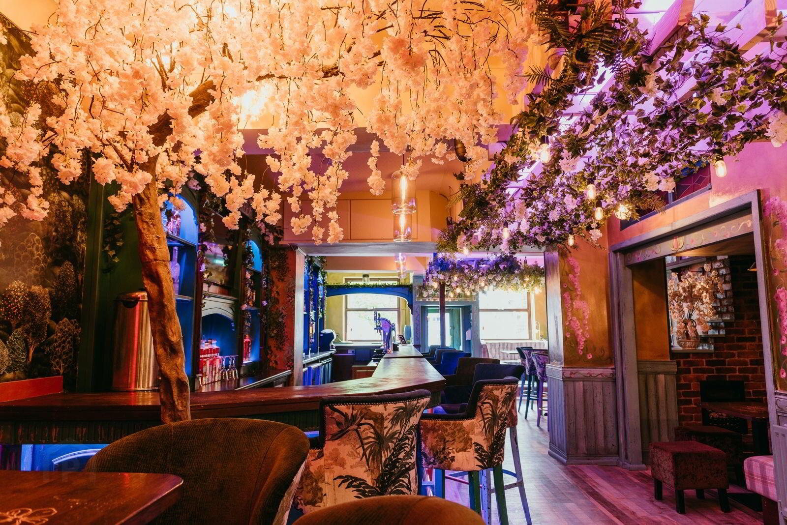 The Cherry Tree Bar, 21 Molesworth St 4 of 9