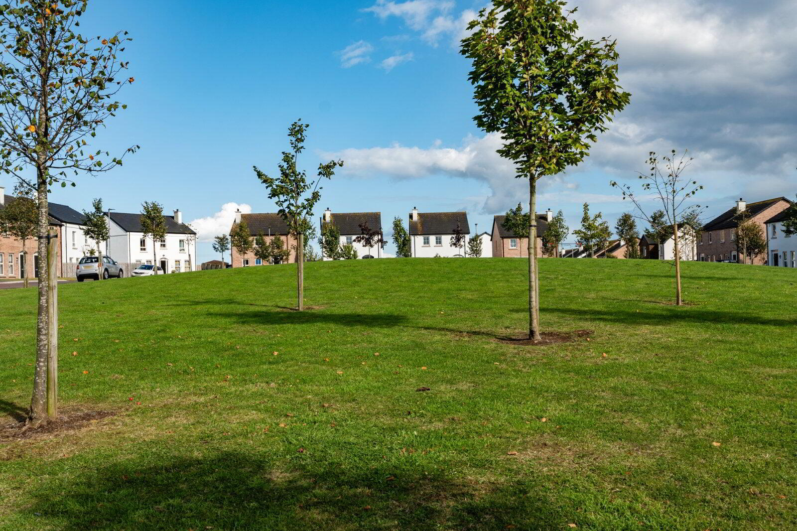 38 Ballyhenry Manor 28 of 30