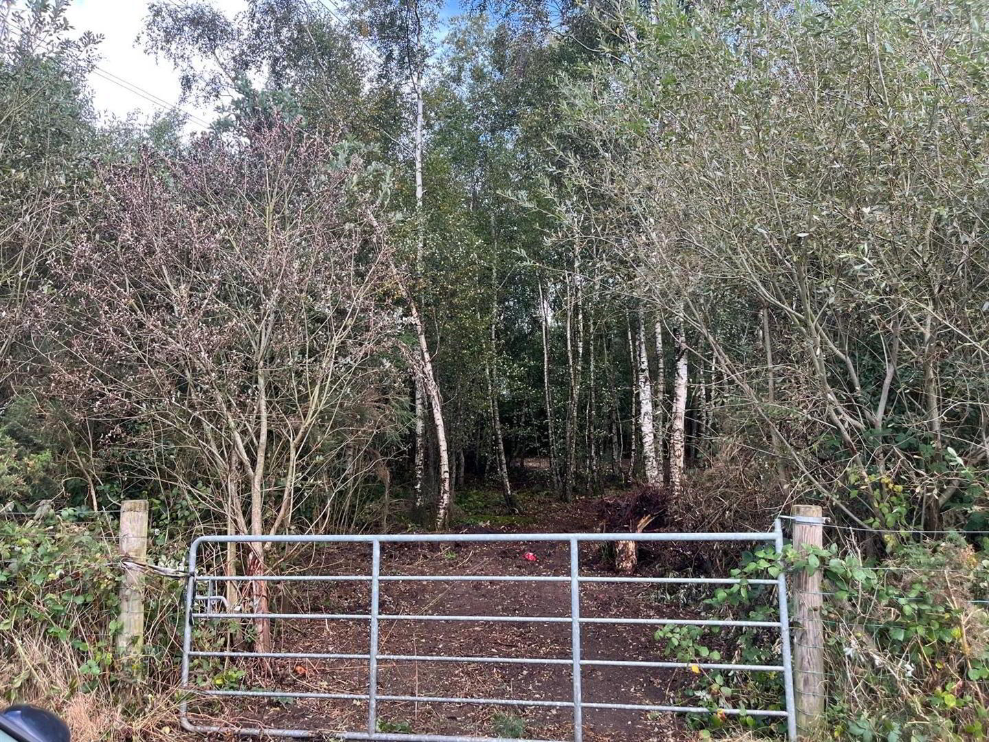 Site, Adjacent To, 11 Derrygarve Road 7 of 8
