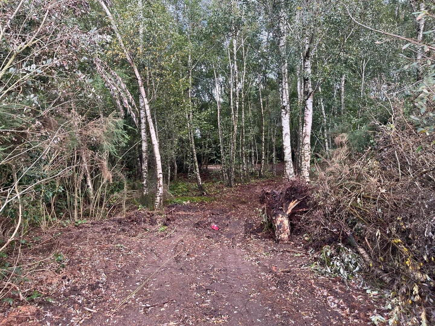 Site, Adjacent To, 11 Derrygarve Road 8 of 8