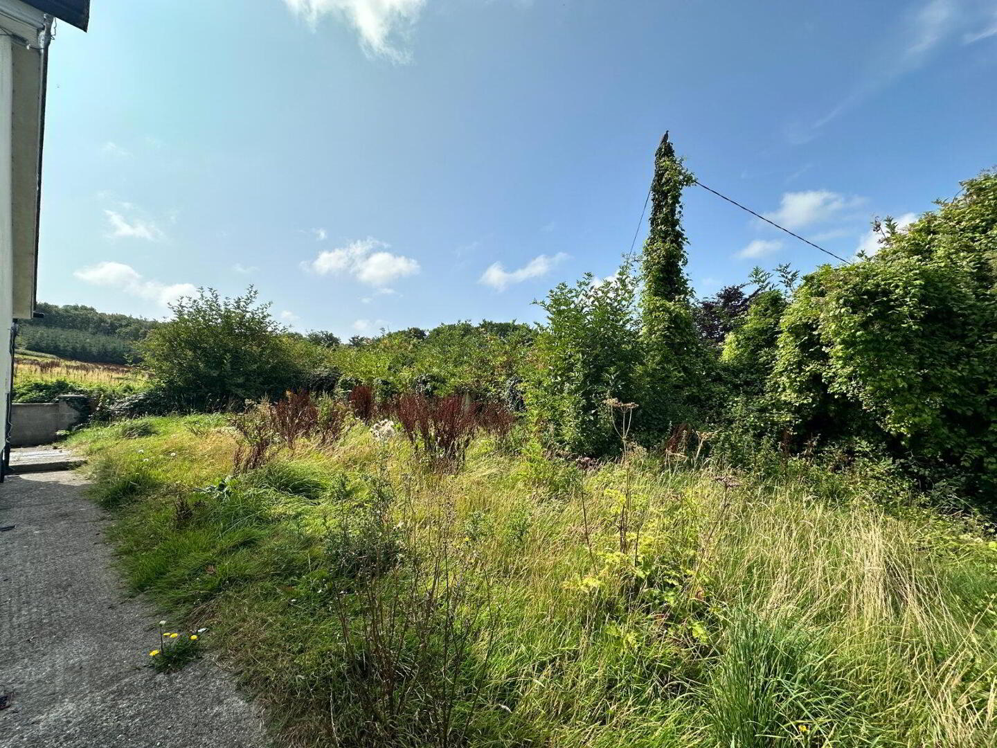 Hill Road 22 of 25