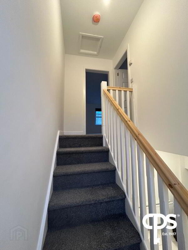 14 Ann Street 8 of 15