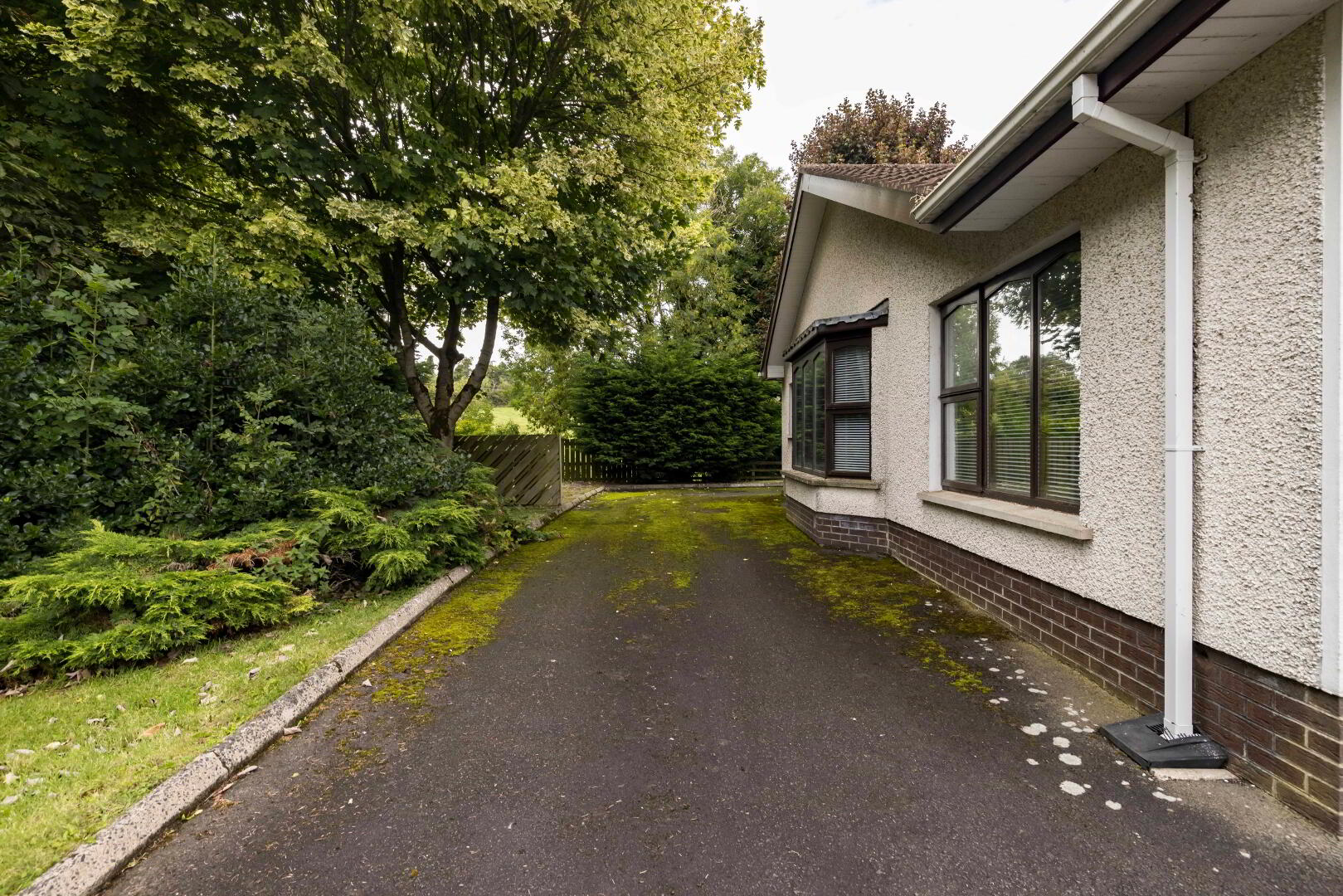 30 Katesbridge Road 36 of 39