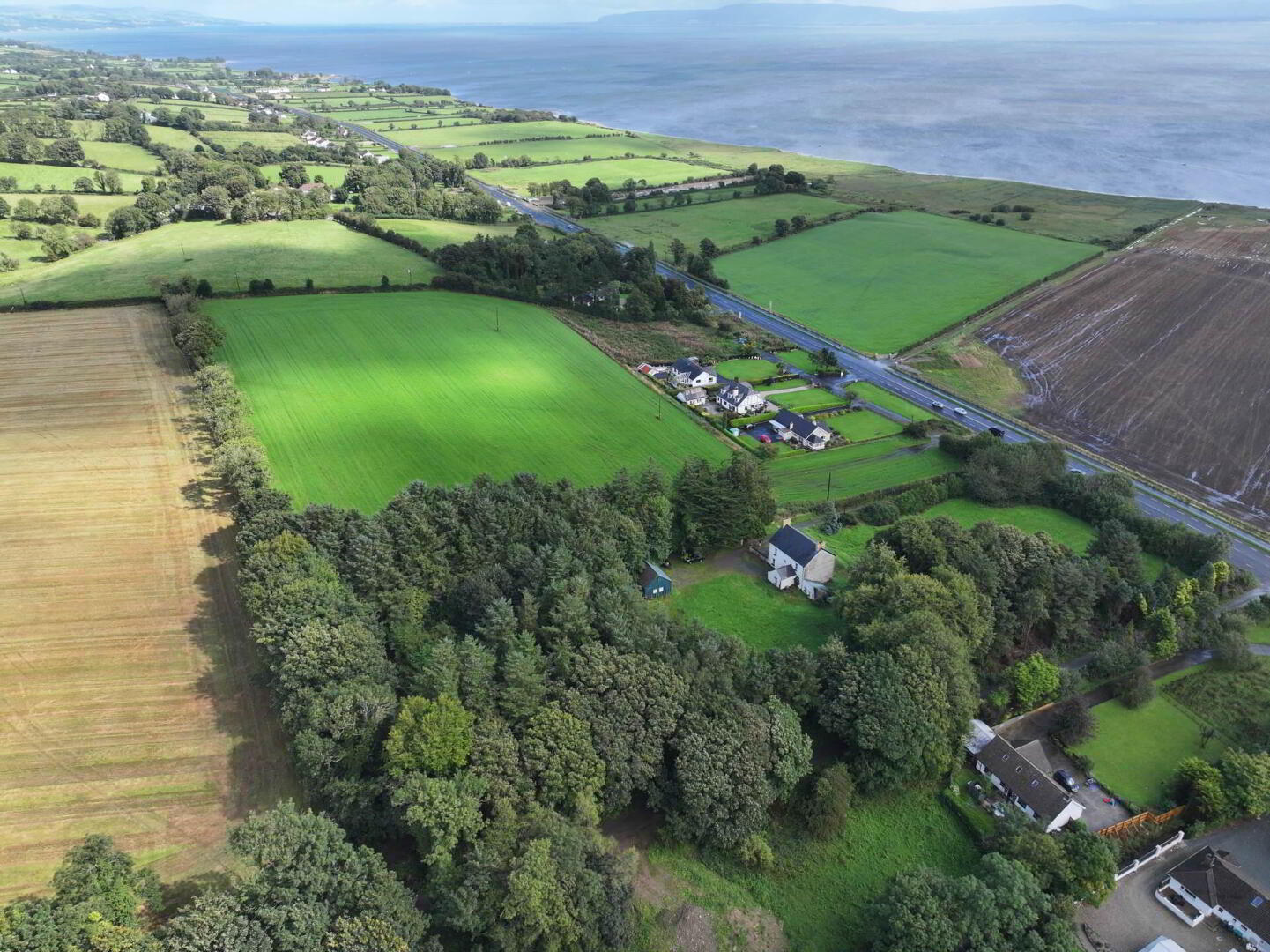 The Grove, Drumskellan 6 of 39