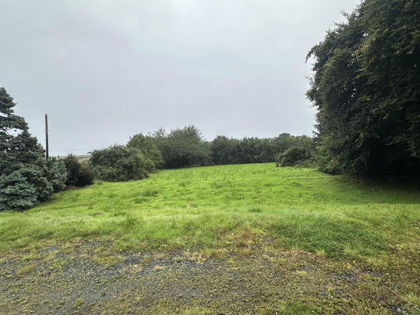 The Grove, Drumskellan 36 of 39