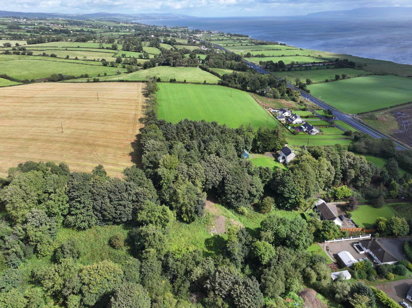 The Grove, Drumskellan 35 of 39