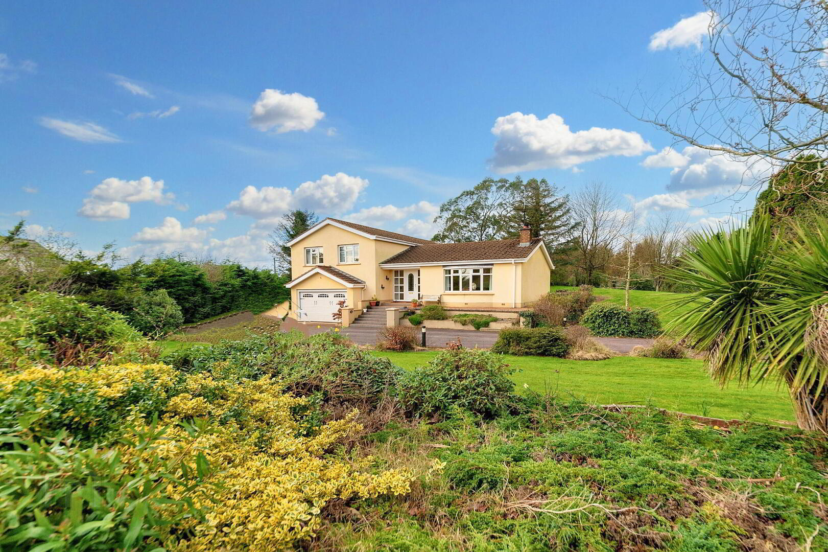 24 Crossgar Road East 1 of 49