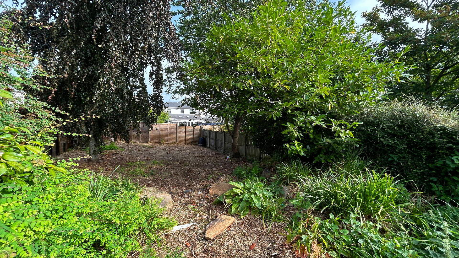 21 Carthall Road 20 of 21