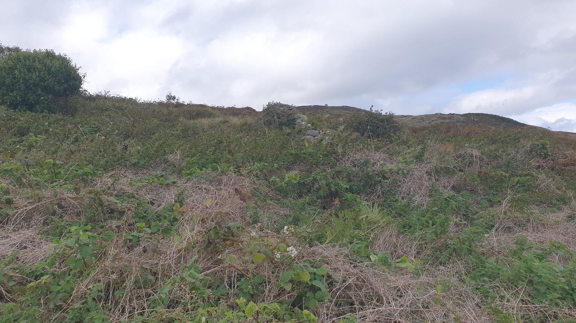 Downings 4 of 7