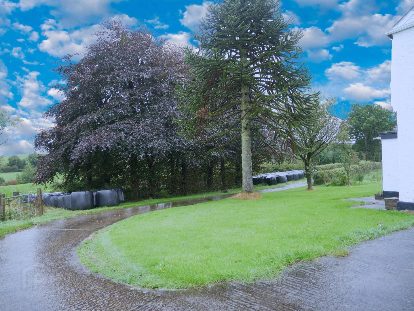 300 Tempo Road 13 of 13