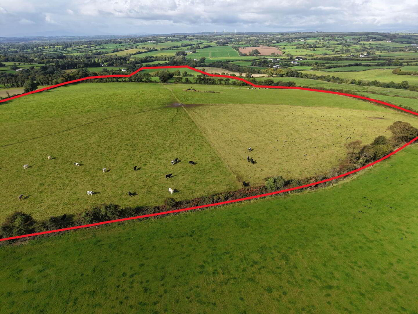 Kilkennybeg 4 of 12
