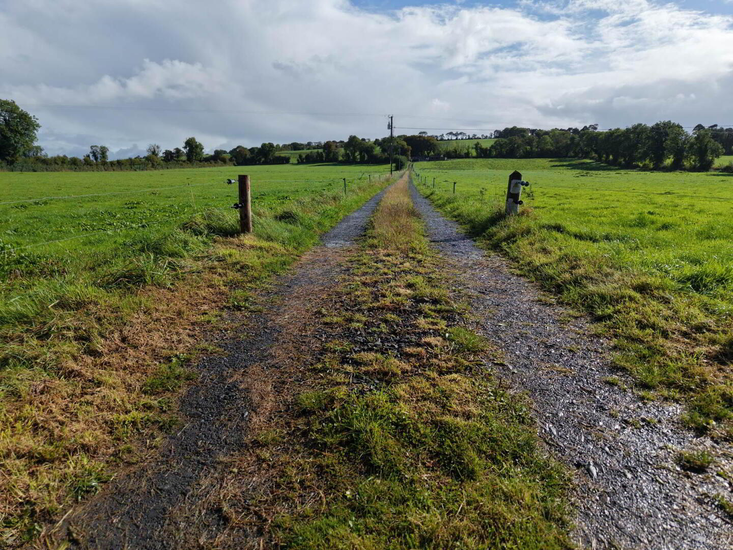 Kilkennybeg 5 of 12