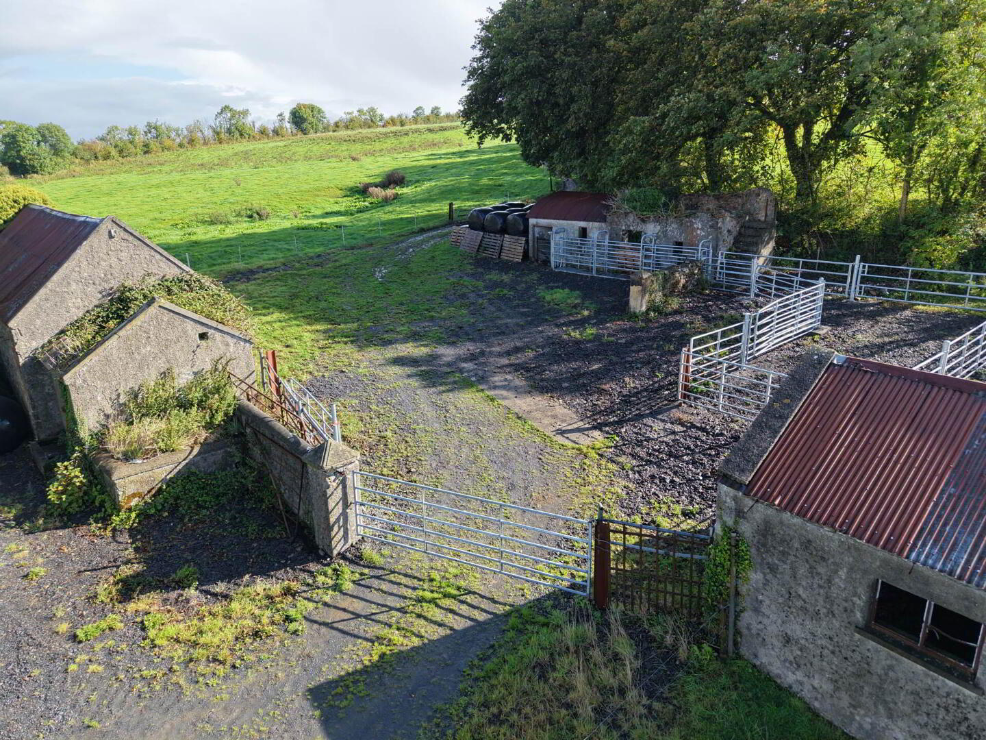 Kilkennybeg 6 of 12