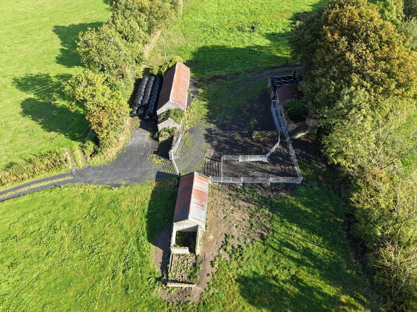 Kilkennybeg 10 of 12