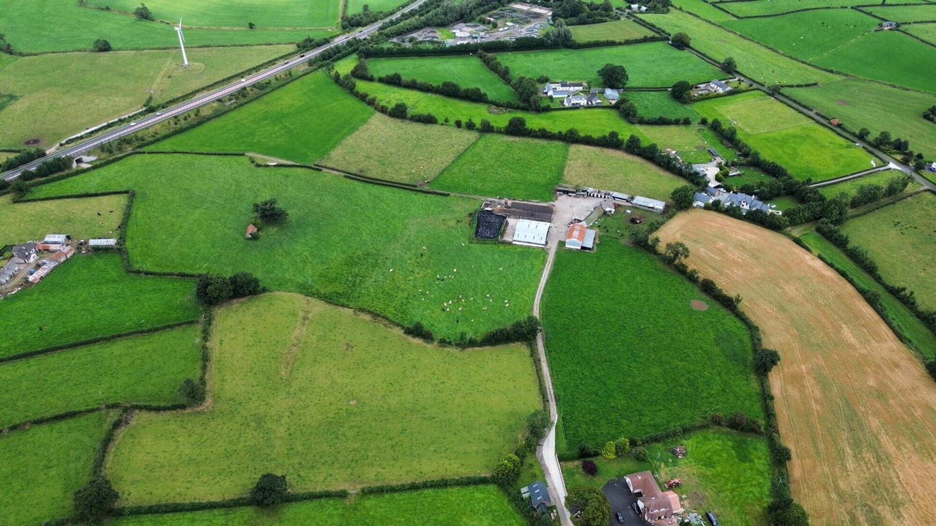 Prime Agricultural Holding 4 of 22