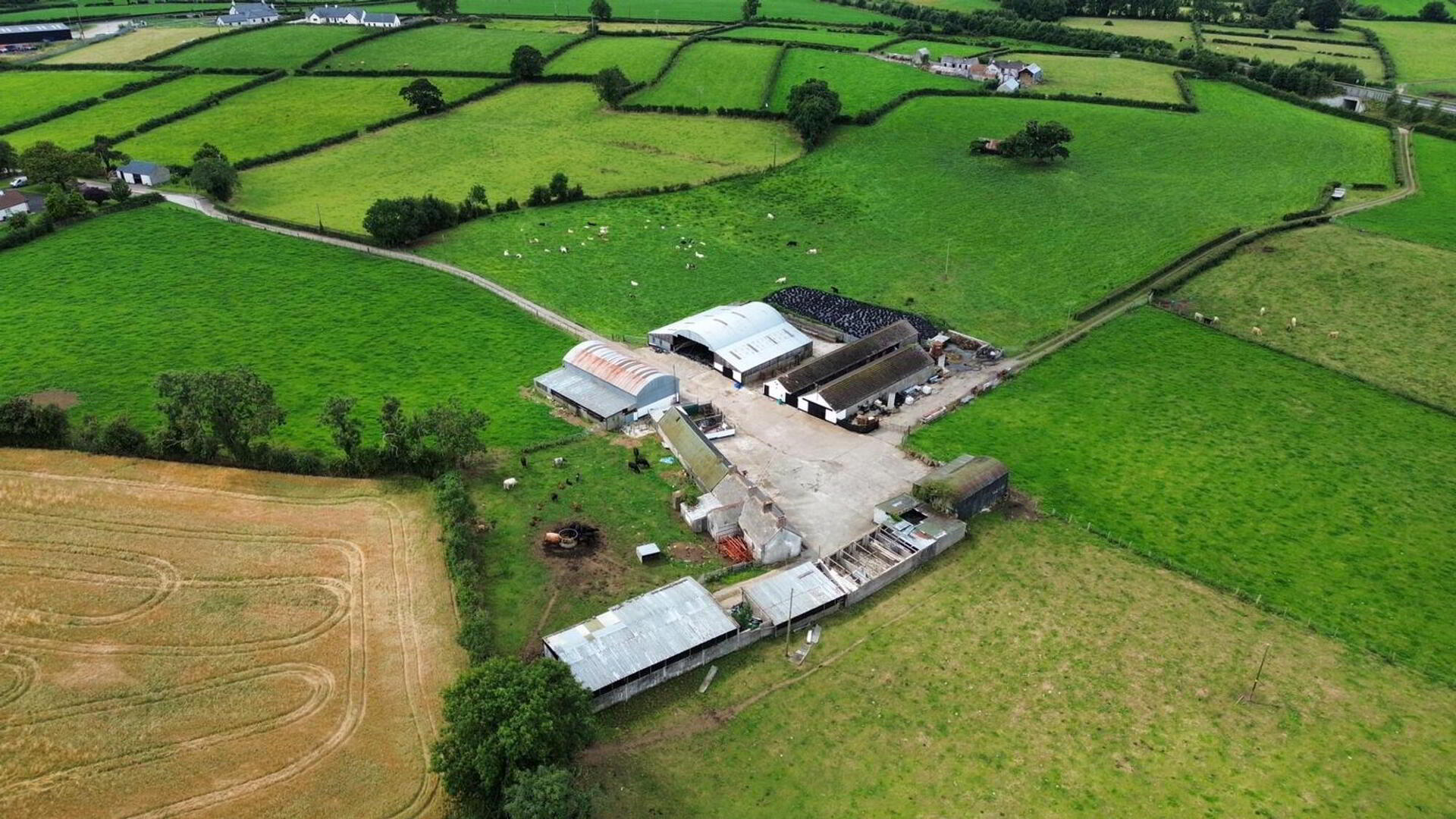 Prime Agricultural Holding 5 of 22