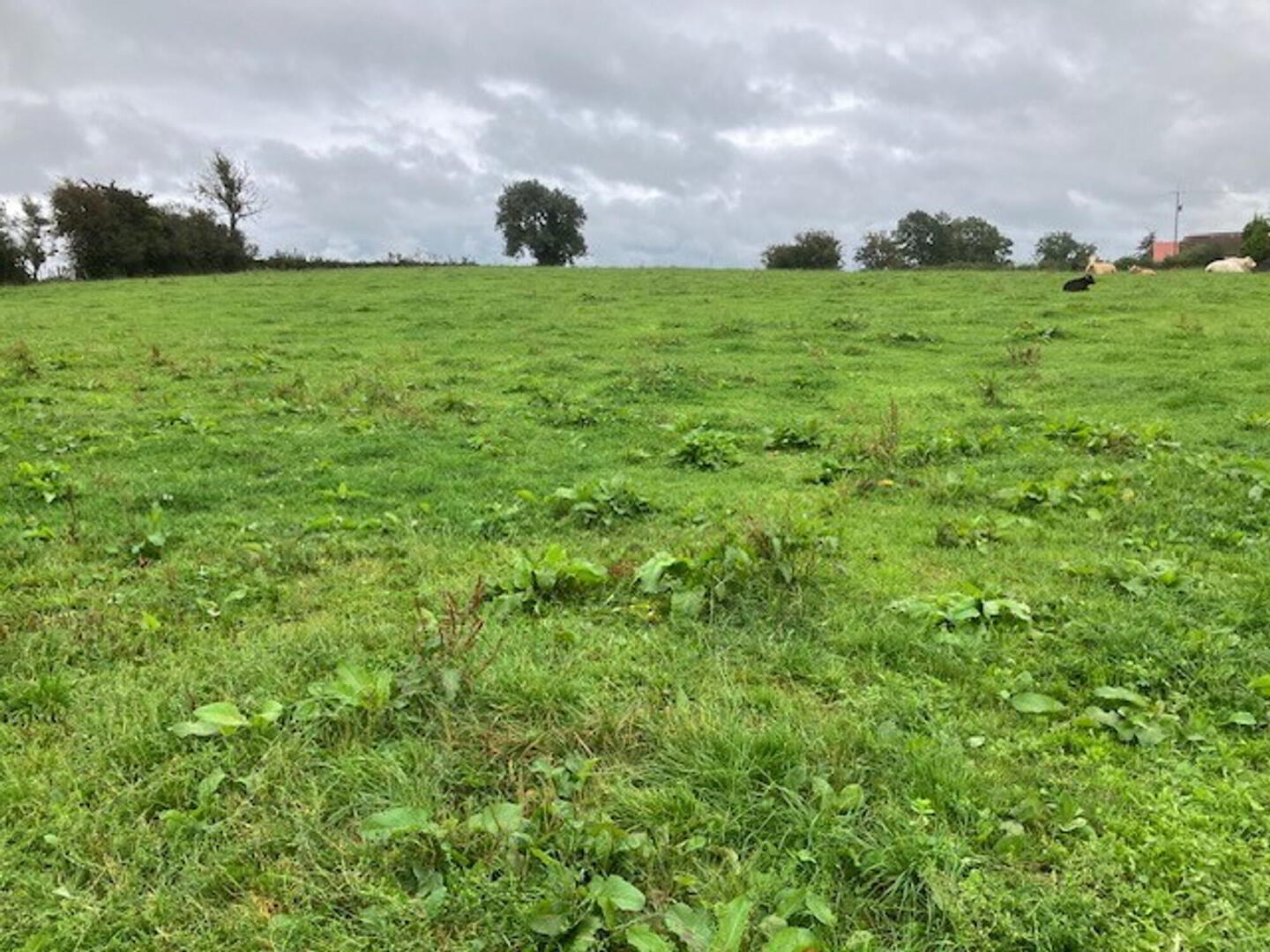 Prime Agricultural Holding 8 of 22