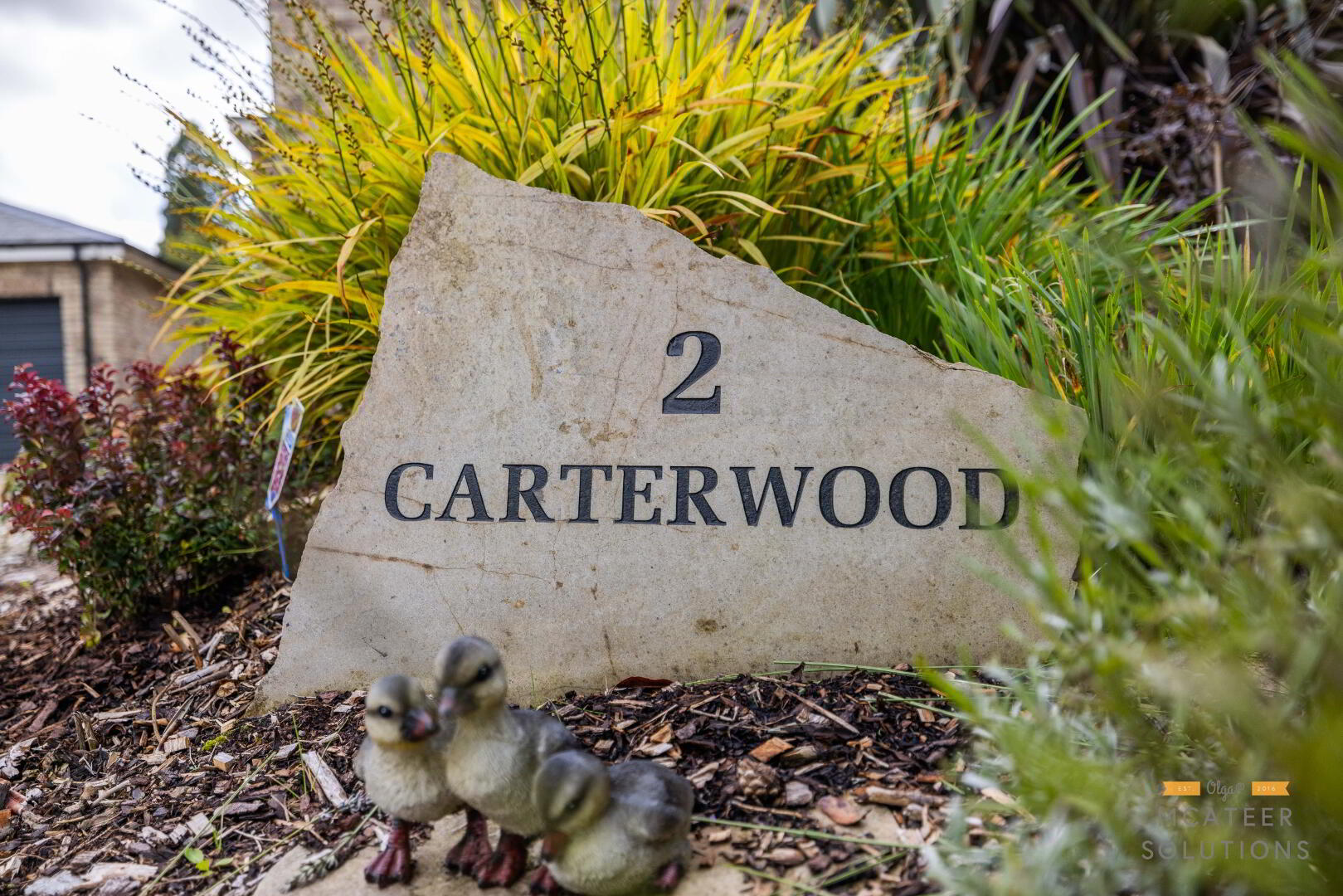 2 Carter Wood 72 of 74