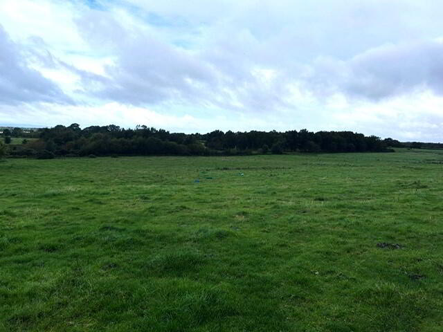 Adjacent To No 131, Ballinlea Road 1 of 3