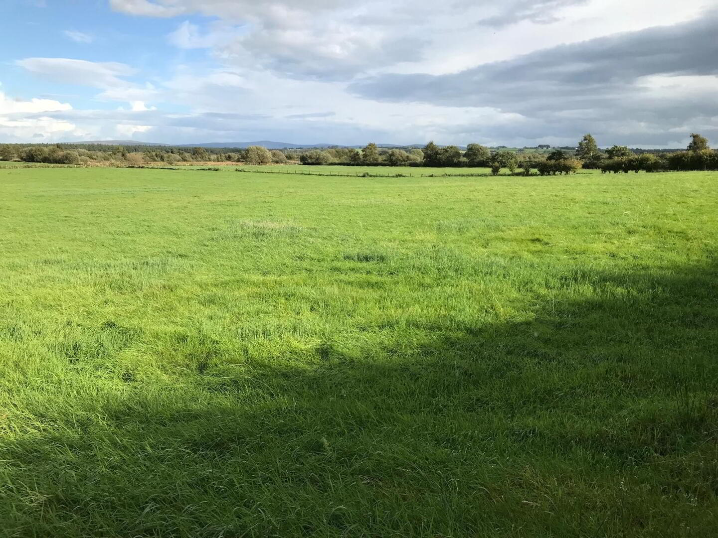 'TULLAGHGORE', Ballybogey Road 1 of 7
