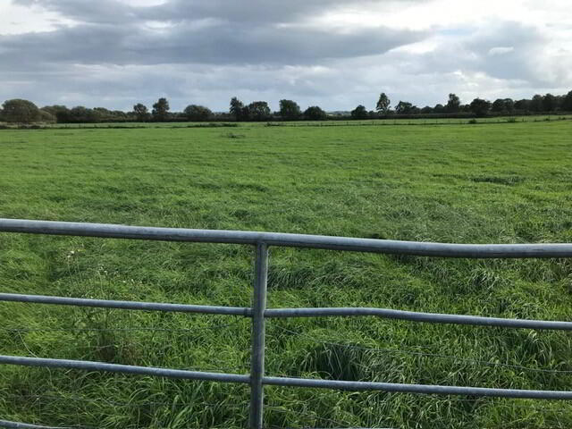 'TULLAGHGORE', Ballybogey Road 3 of 7
