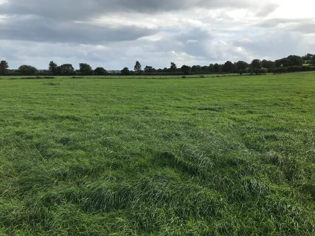 'TULLAGHGORE', Ballybogey Road 4 of 7