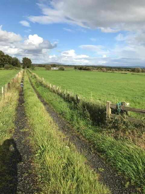 'TULLAGHGORE', Ballybogey Road 7 of 7
