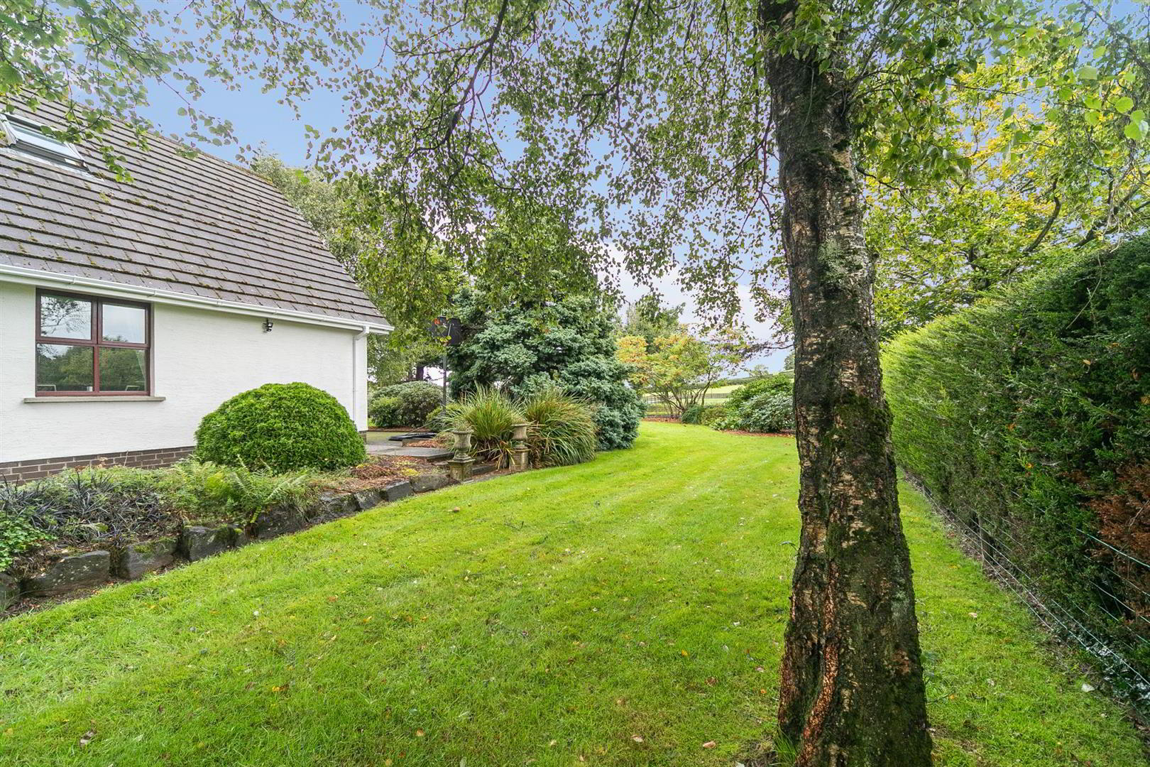 7 Burnpipe Lane 38 of 44