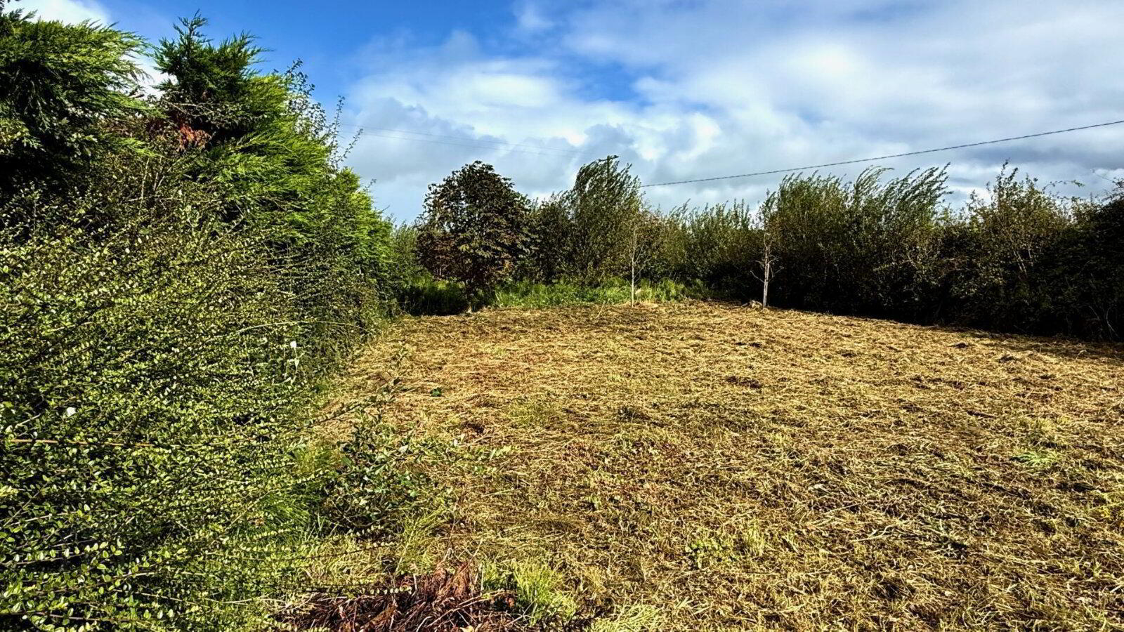 Gardenfield 16 of 19