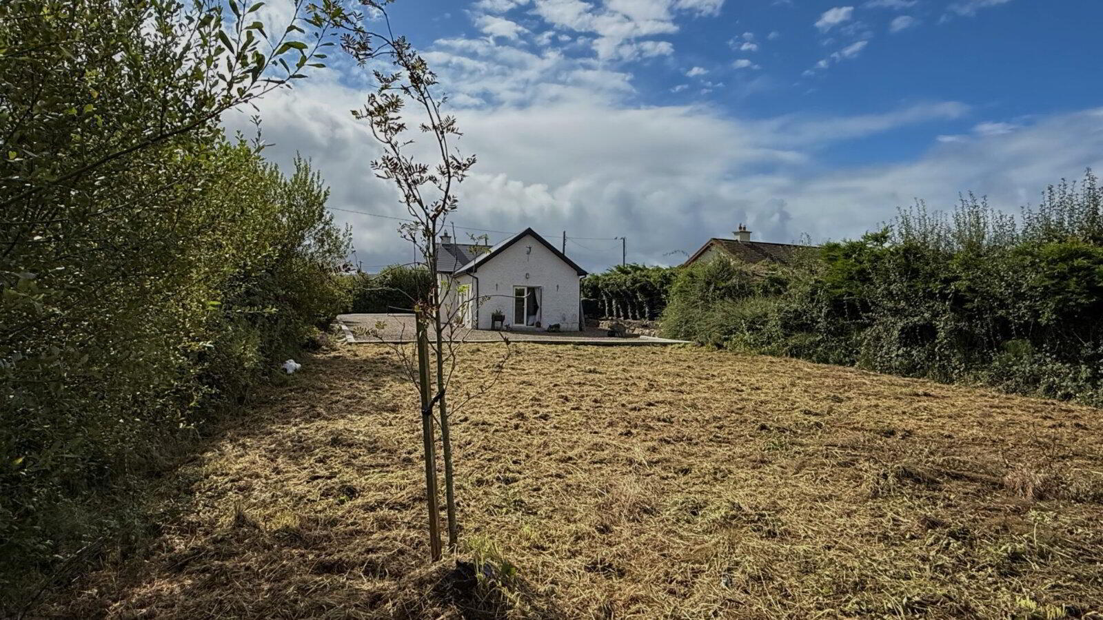 Gardenfield 17 of 19
