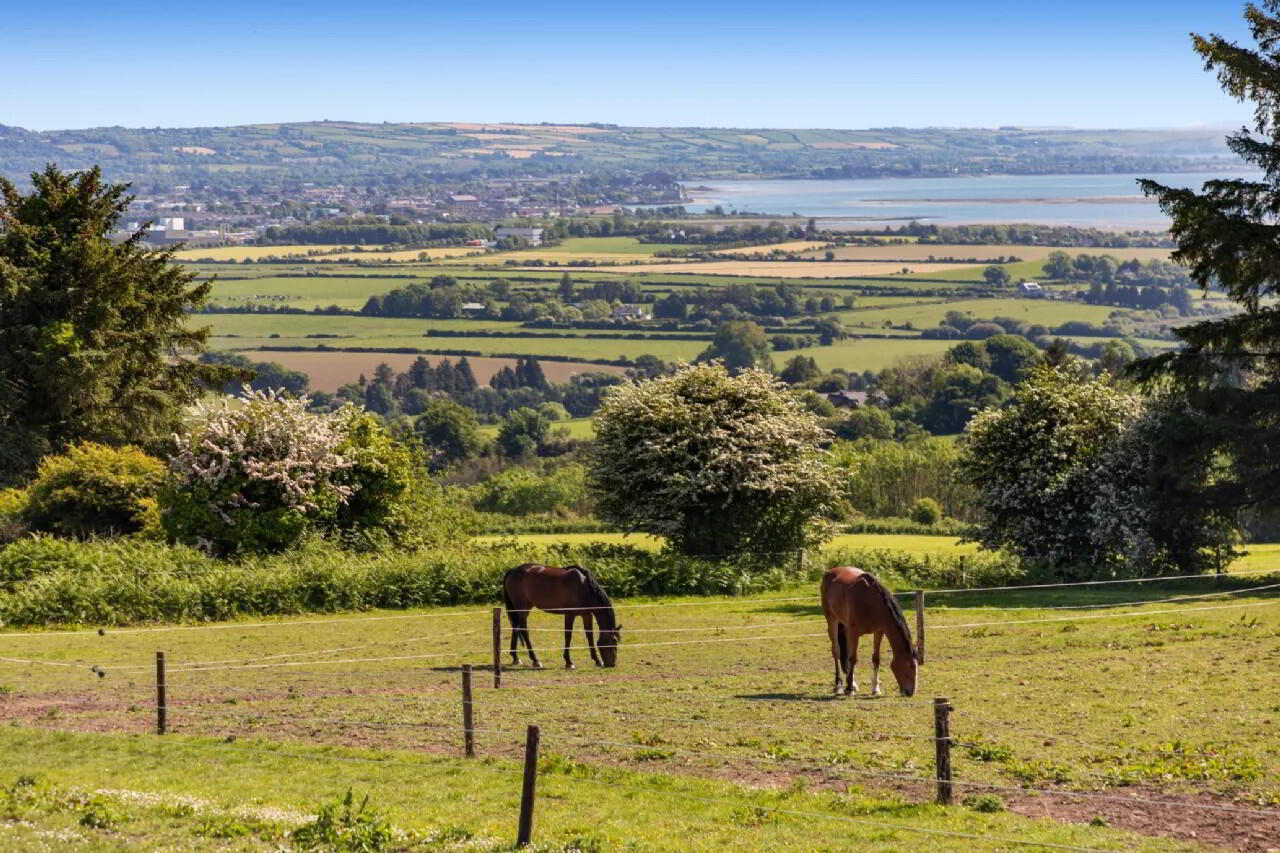 Hillside (On 5.4 Acres.), Glenbeg 40 of 42