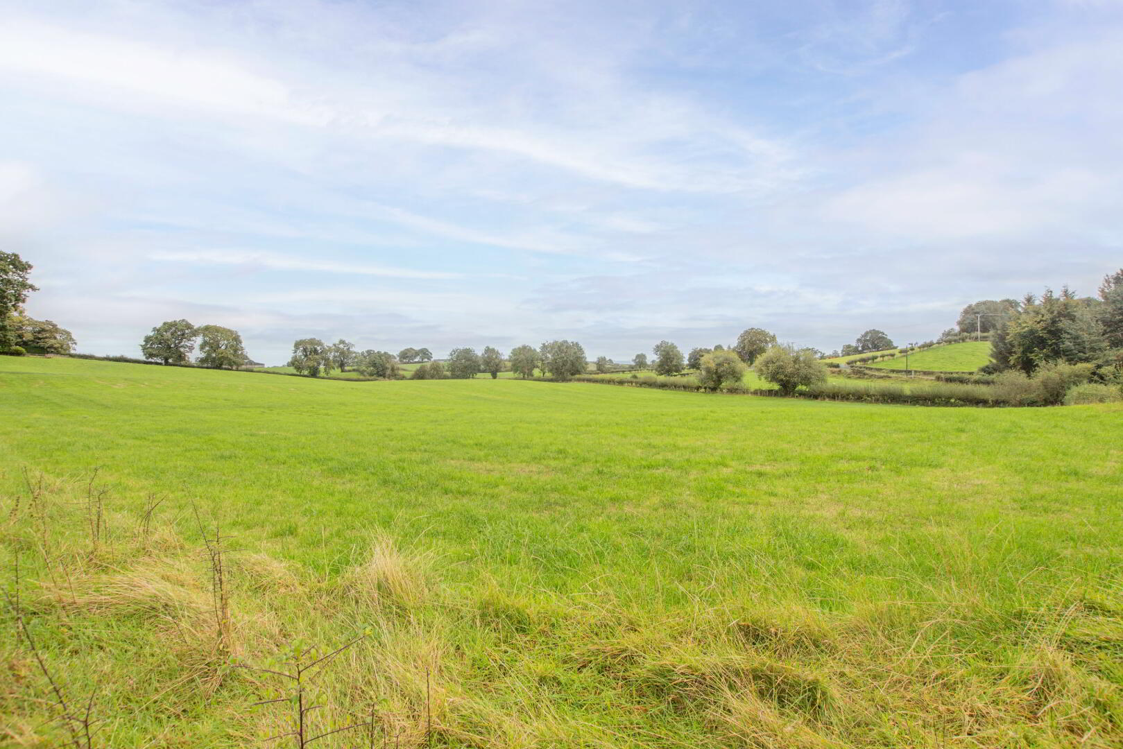 Land On Crew Road & Ballymacilcurr Road 3 of 6