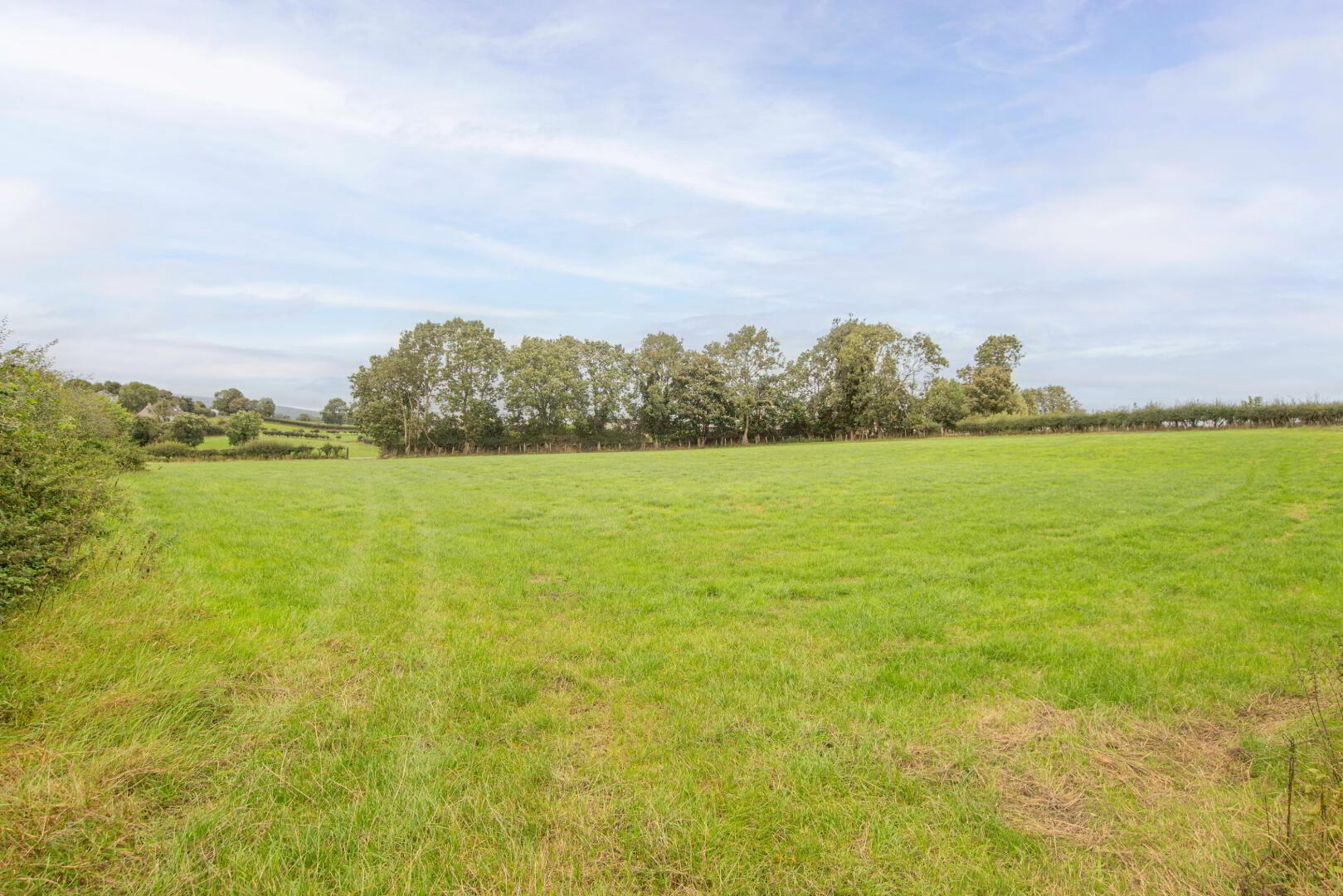 Land On Crew Road & Ballymacilcurr Road 4 of 6