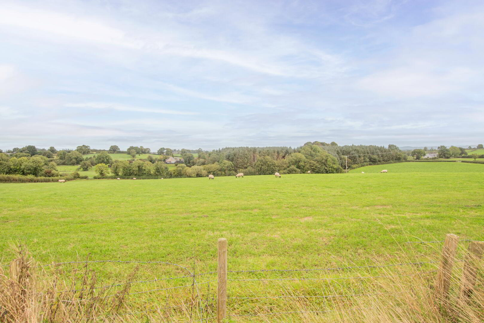 Land On Crew Road & Ballymacilcurr Road 5 of 6