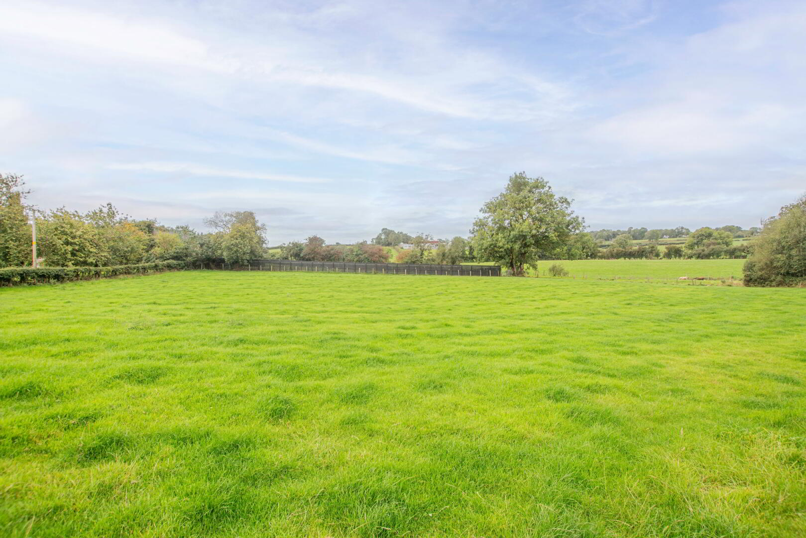 Land On Crew Road & Ballymacilcurr Road 6 of 6