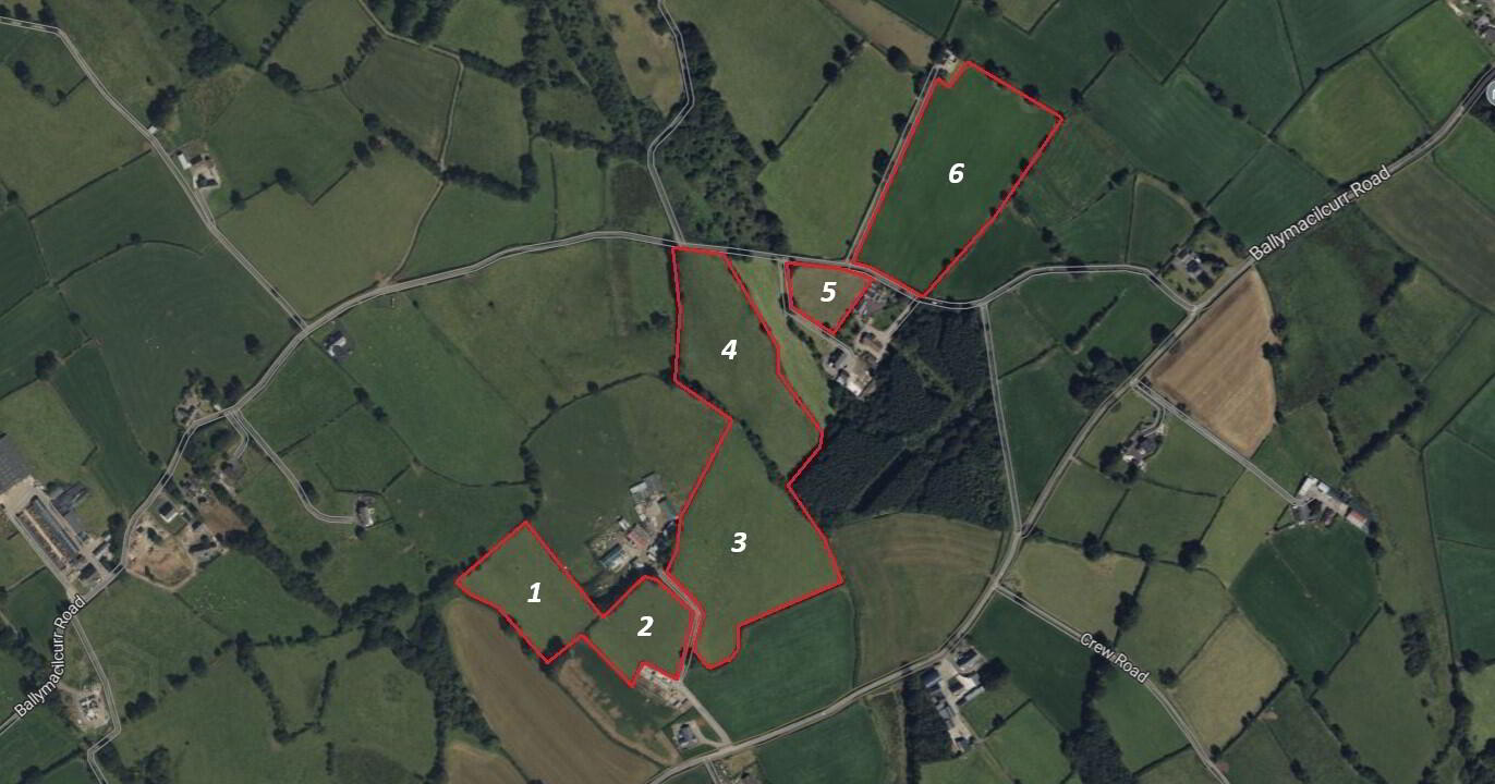 Land On Crew Road & Ballymacilcurr Road 2 of 6