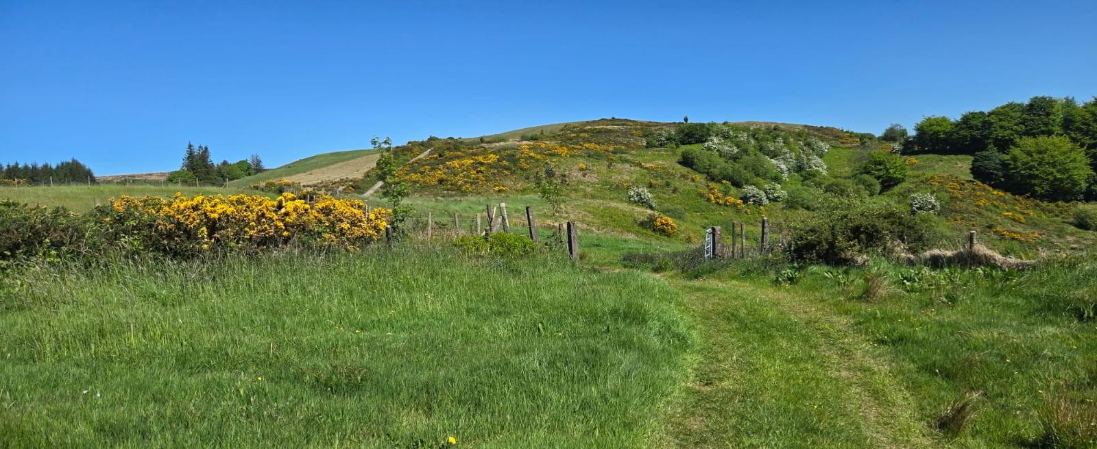 133 Acre Farm 1 Or 2 Lots, Shantavny, 12 of 23
