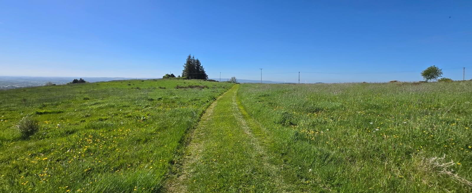133 Acre Farm 1 Or 2 Lots, Shantavny, 13 of 23