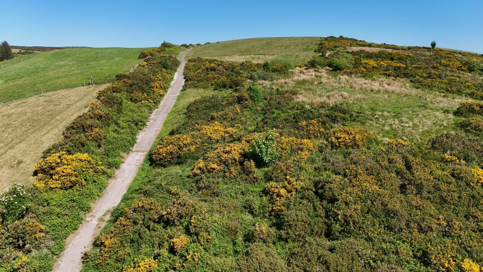 133 Acre Farm 1 Or 2 Lots, Shantavny, 18 of 23