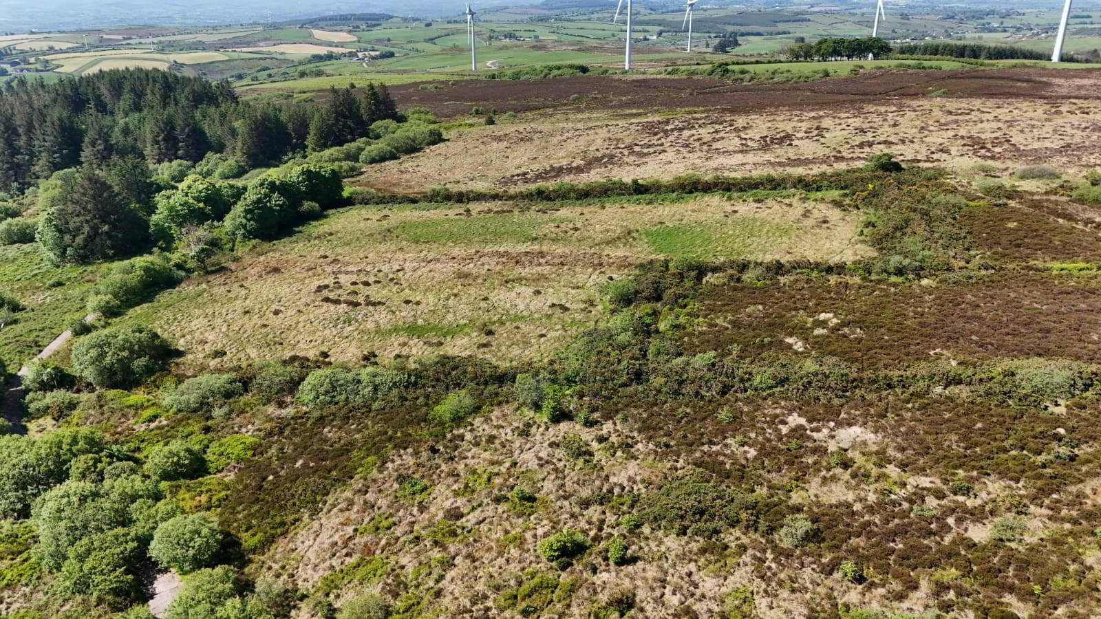 133 Acre Farm 1 Or 2 Lots, Shantavny, 20 of 23