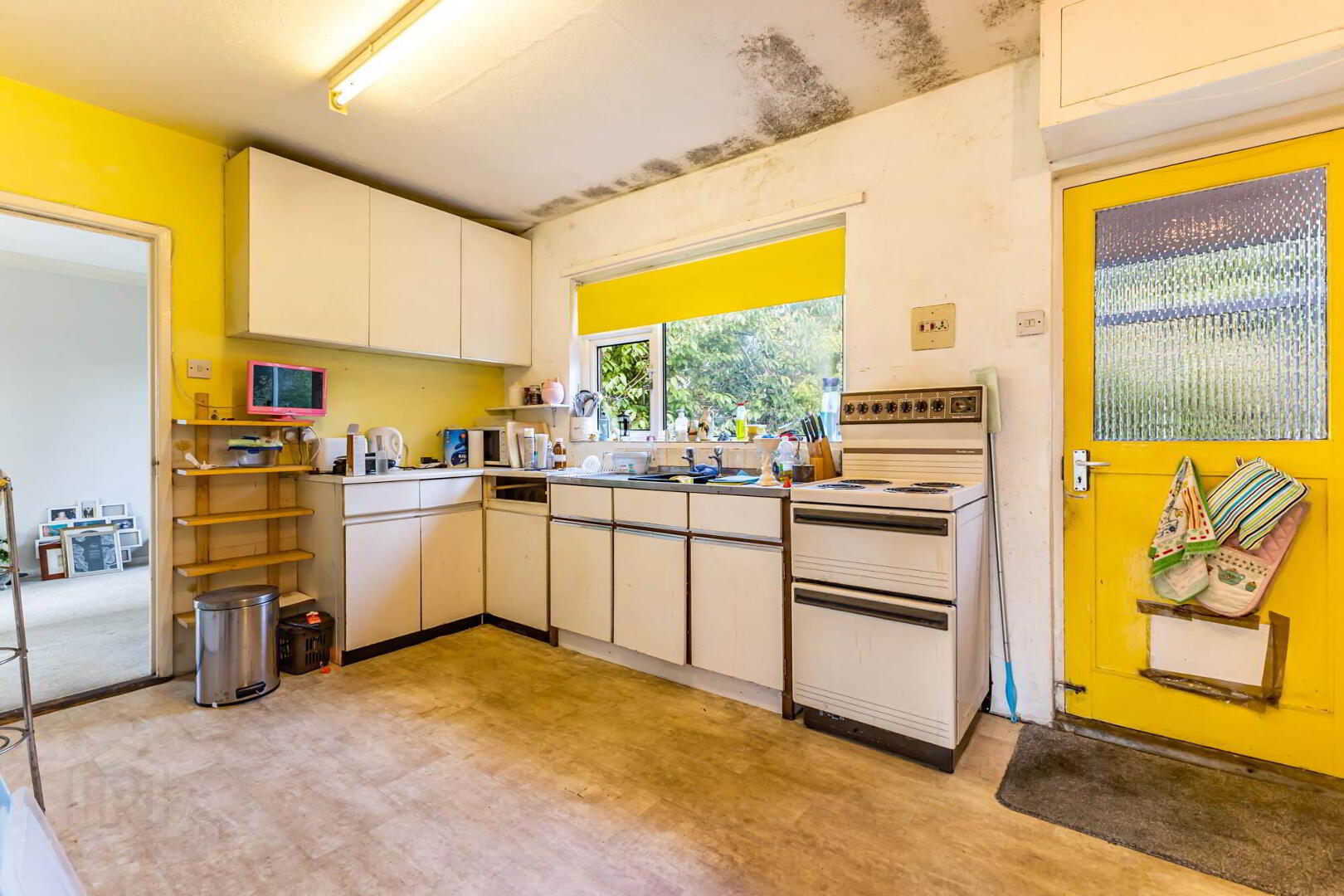 8 Thorndale Road South 8 of 20