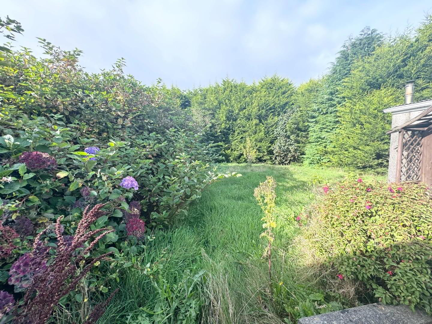 8 Aghamore Park 4 of 17