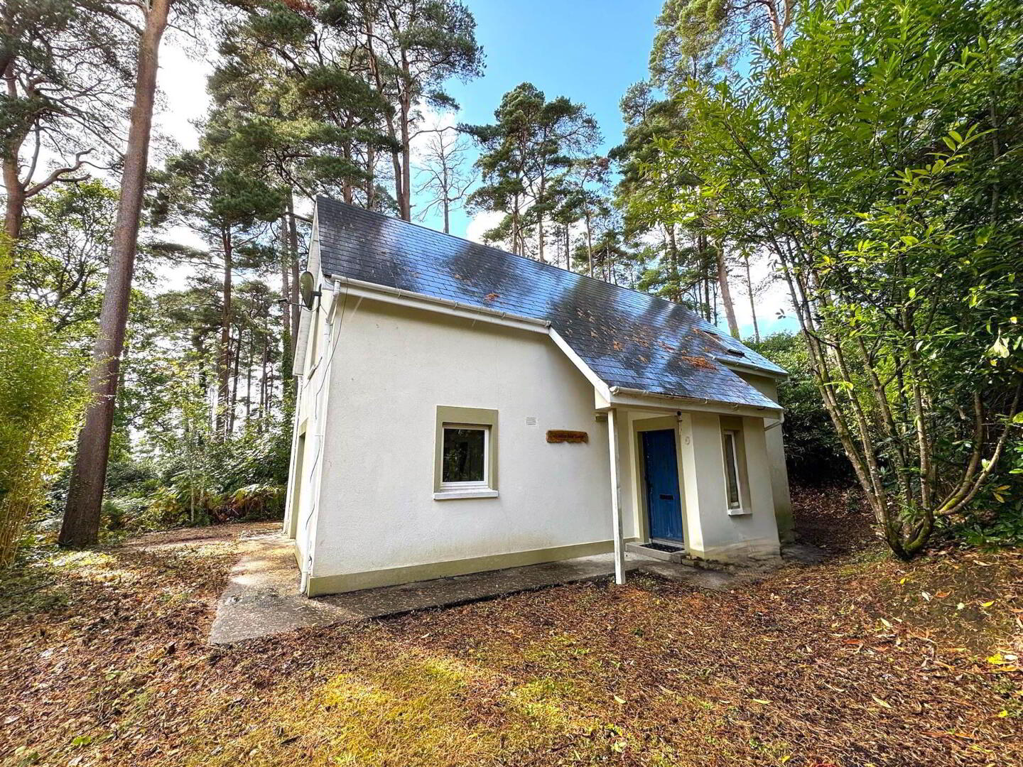 Galtee Mór Lodge 1 of 16