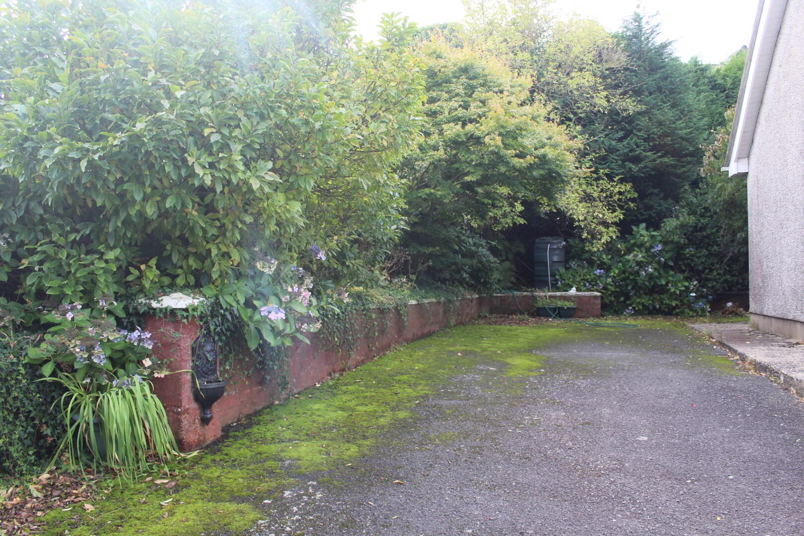 75 Carrogs Road 13 of 17