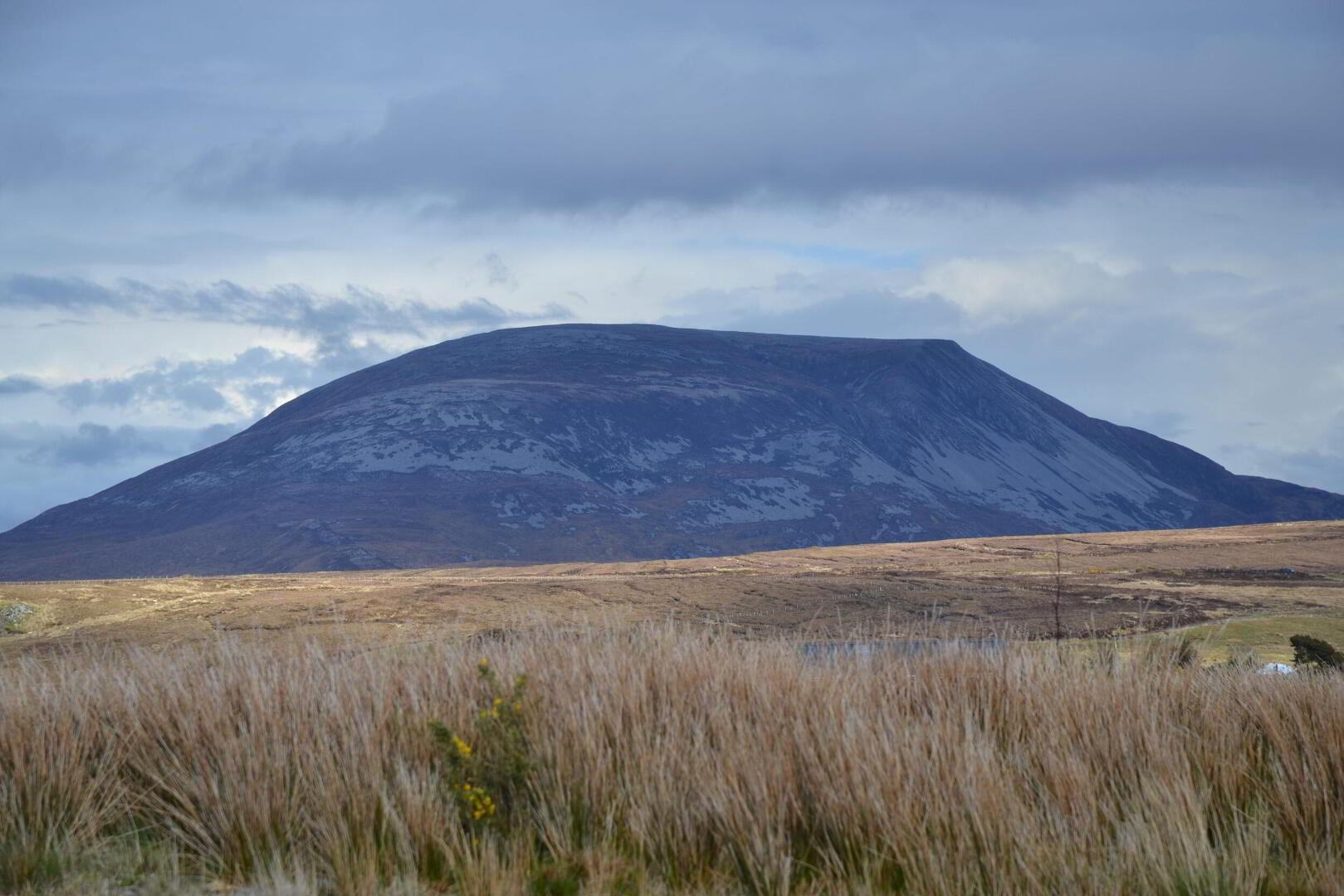 Commonage FOR SALE Muckish Mountain 1 of 1