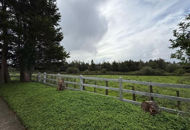 Lowpark House, Sonnagh 26 of 39