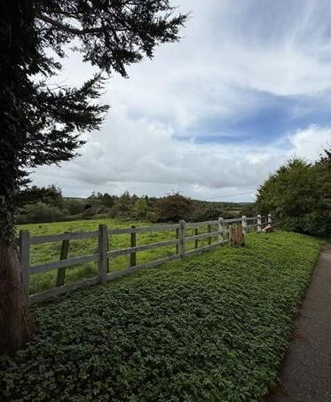 Lowpark House, Sonnagh 27 of 39